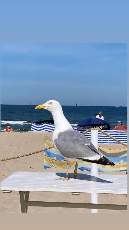 Monte 27 Lux Apartament Sopot